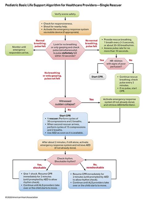 Pediatric Basic Life Support Algorithm for Healthcare 